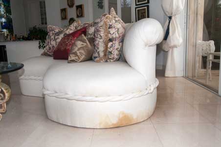 Cat urine odor and stain on drapery and furniture this of the job for PetPeePee company