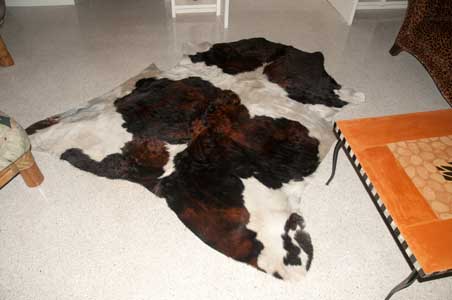 PetPeePee clean animal skin area rug from cats or dog urine odor