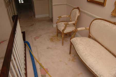 Customer use of cleaning product that contain soap and enzyme this will lead to a brown stain on this beautiful wall-to-wall carpet