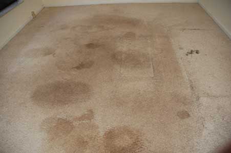 Customer use the cleaning product that contain enzyme to make the enzyme the manufactory mixes with the soap this will leave to a brown stain