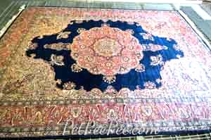 Oriental rug clean from Dog urine odor by Pet Pee Pee Service.